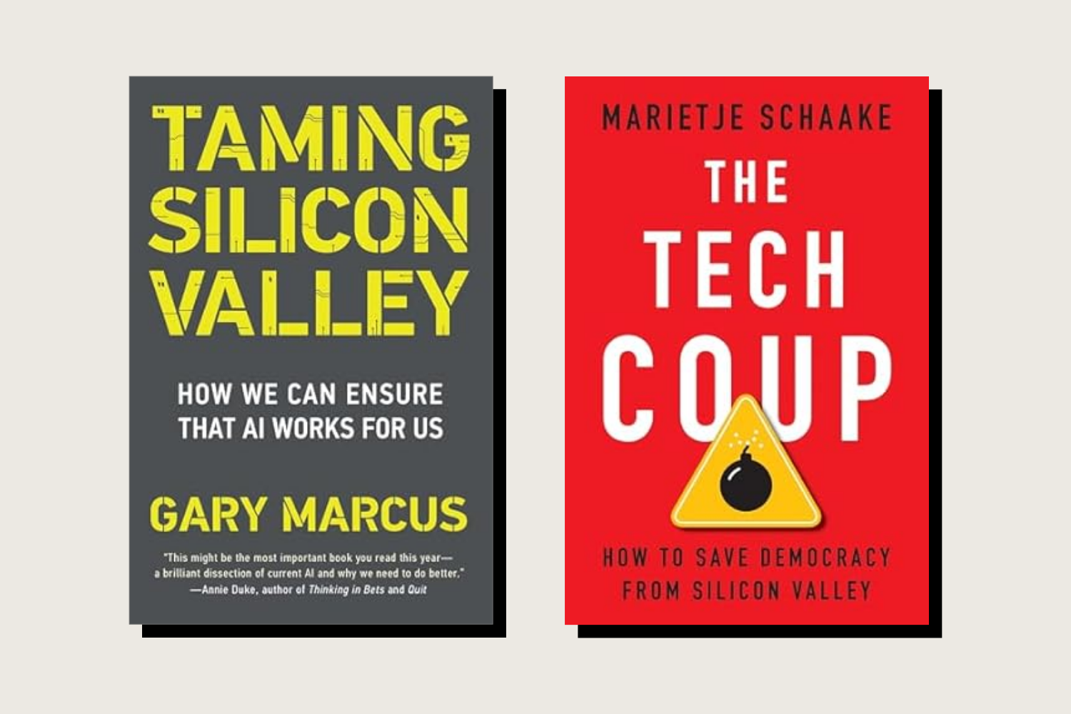 Taming Silicon Valley: How We Can Make AI Do Us, Gary Marcus, The MIT Press, 240 pp., .95, September 2024; The Tech Coup: How to Save Democracy from Silicon Valley, Marietje Schaake, Princeton University Press, 336 pp., .95, September 2024.