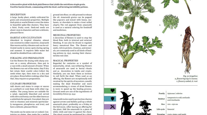 A two-page spread from the Herbalist's Primer details Amaranth, and includes a full-size scale image of the plant next to the witch for scale.