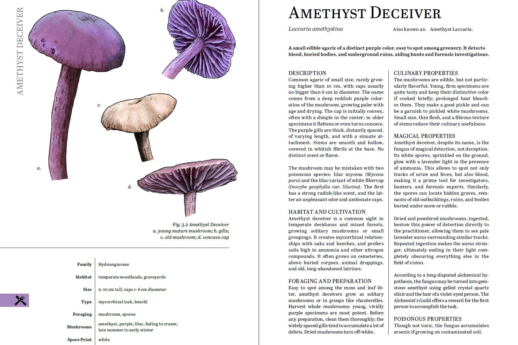 A two-page spread from the Herbalist's Primer describes Amethyst Deceiver, and includes a scale drawing of the mushroom.