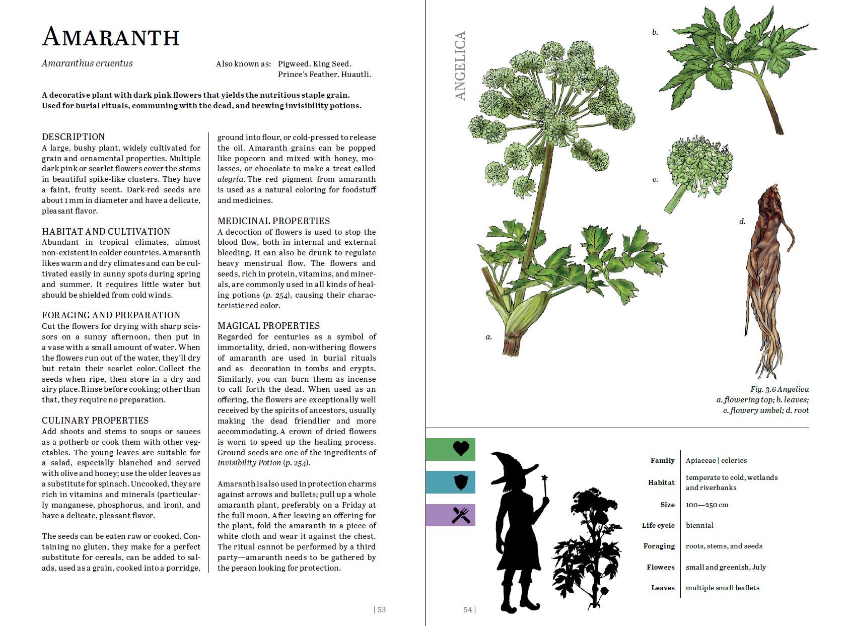 A two-page spread from the Herbalist's Primer details Amaranth, and includes a full-size scale image of the plant next to the witch for scale.